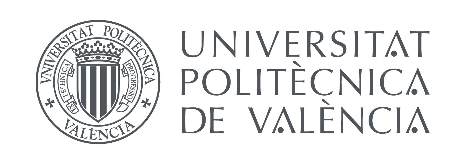 Marca Upv Principal Color300
